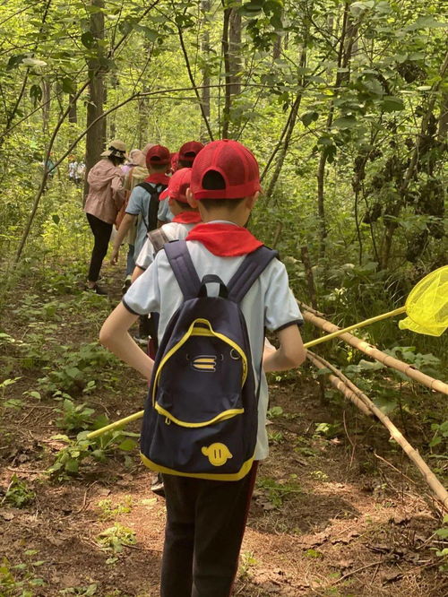 倾听自然 发现美好——记三（16）中队森林学校实践活动